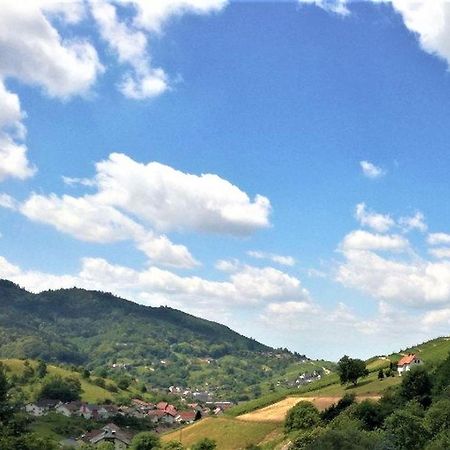 Ferienwohnung Wintereck Bühlertal エクステリア 写真