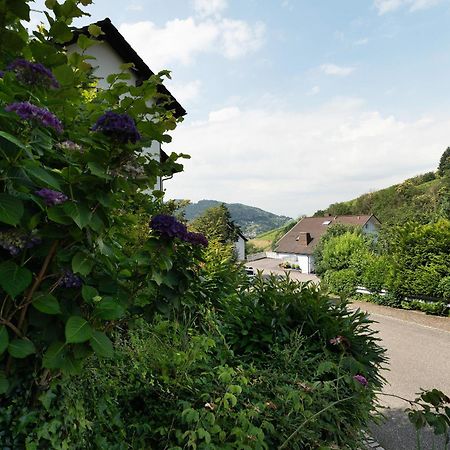Ferienwohnung Wintereck Bühlertal エクステリア 写真