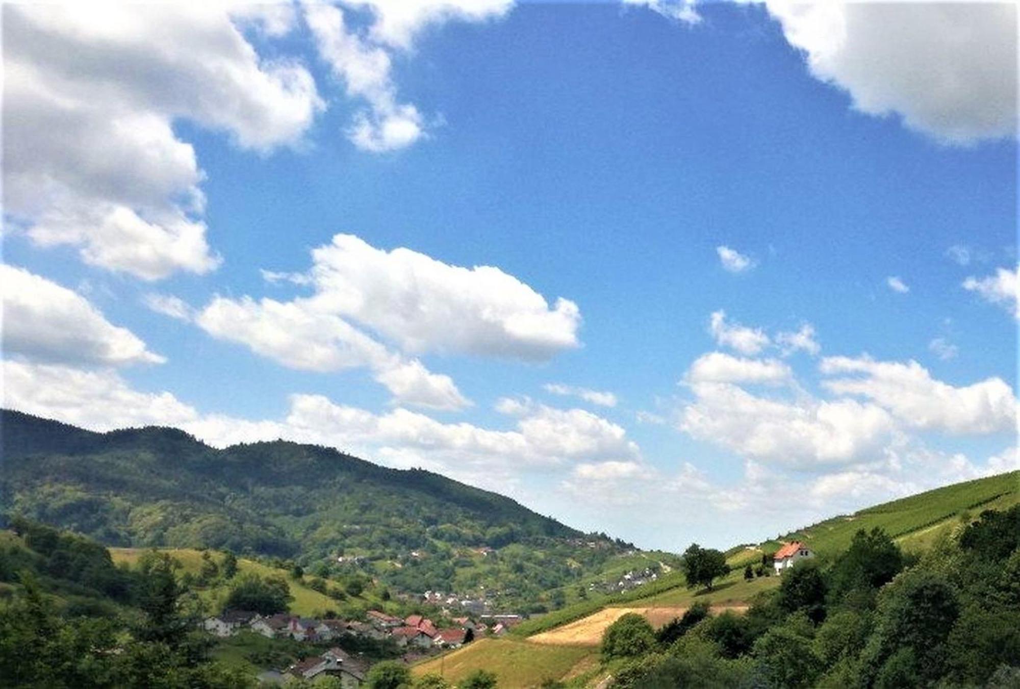 Ferienwohnung Wintereck Bühlertal エクステリア 写真
