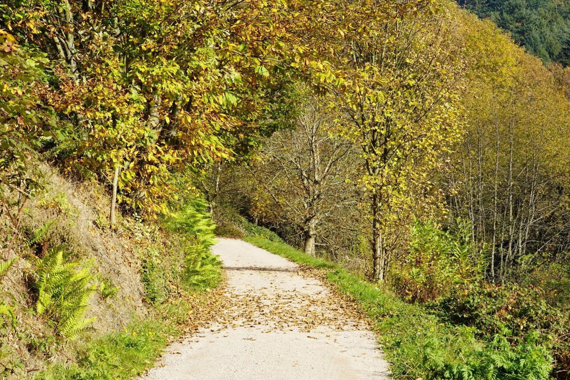 Ferienwohnung Wintereck Bühlertal エクステリア 写真