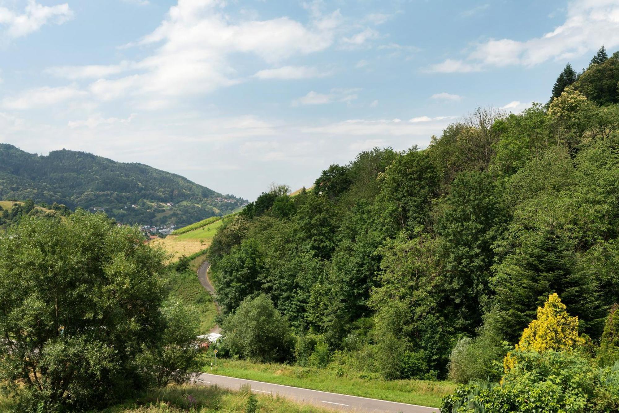 Ferienwohnung Wintereck Bühlertal エクステリア 写真