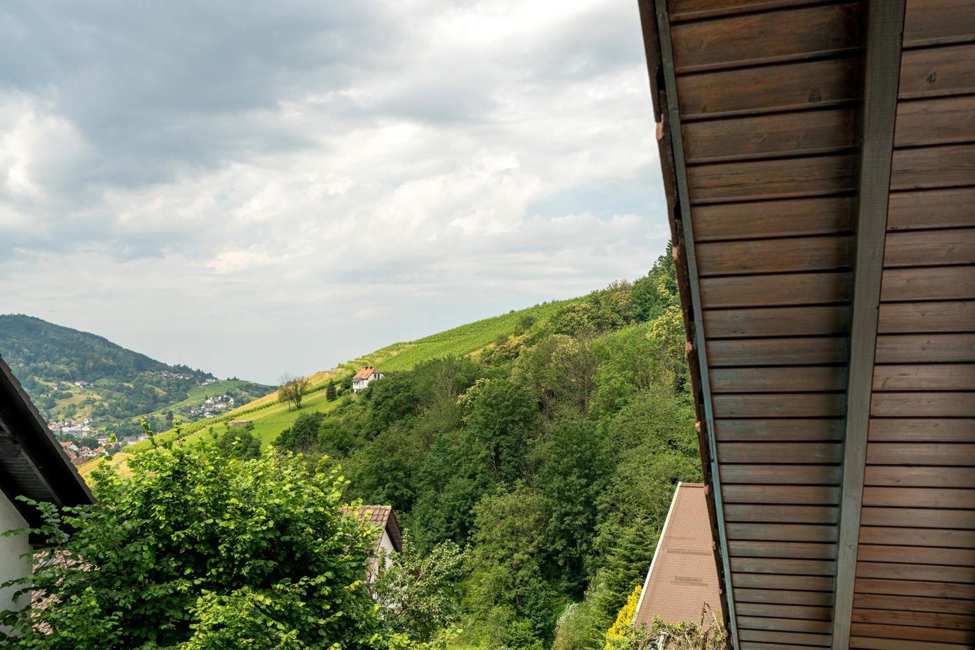 Ferienwohnung Wintereck Bühlertal エクステリア 写真