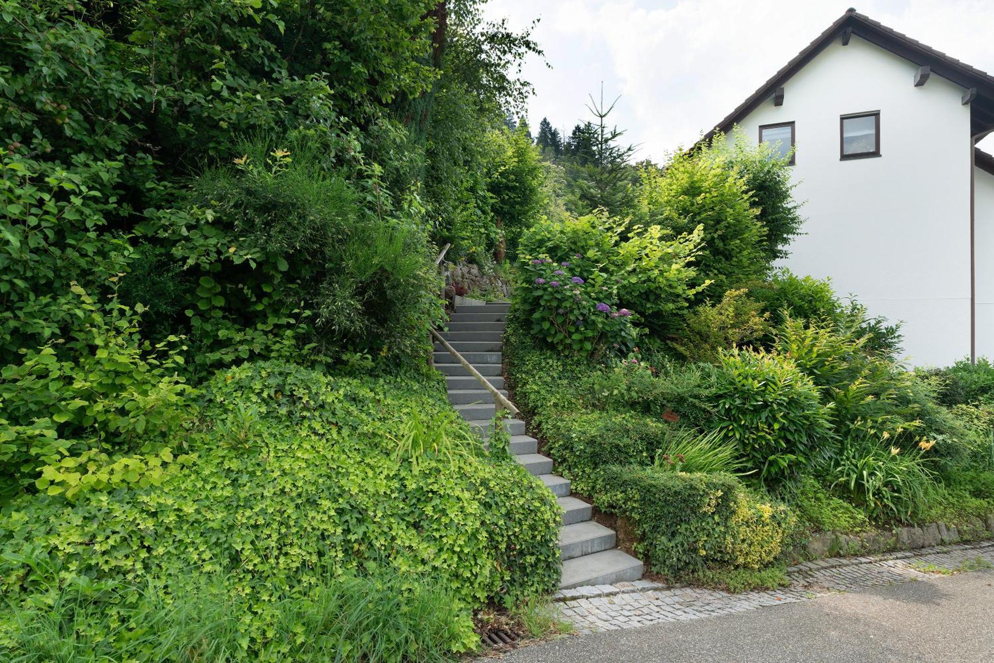 Ferienwohnung Wintereck Bühlertal エクステリア 写真